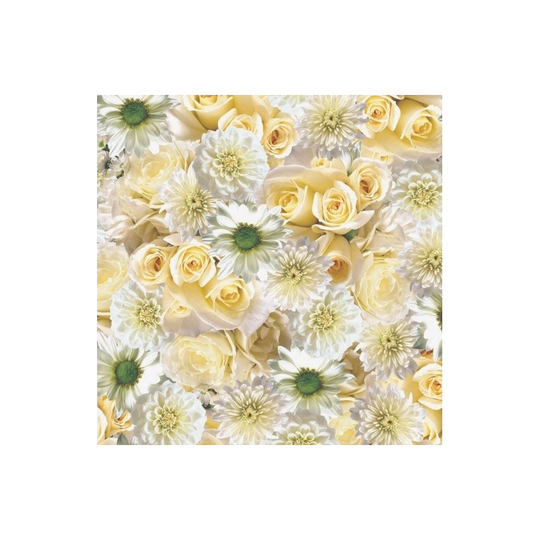 TOILE CIRÉE SILVA TOILE CIRÉE SILVA