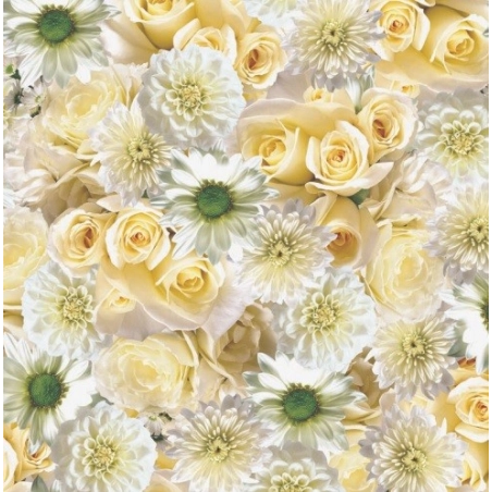 TOILE CIRÉE SILVA
