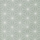 Tissu coton enduit 145 - CASUAL celadon