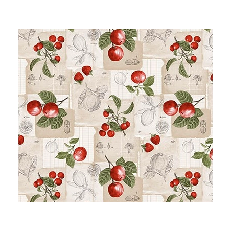TOILE CIRÉE LATINO cerise