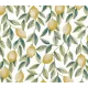 TOILE CIRÉE CITRUS limonum