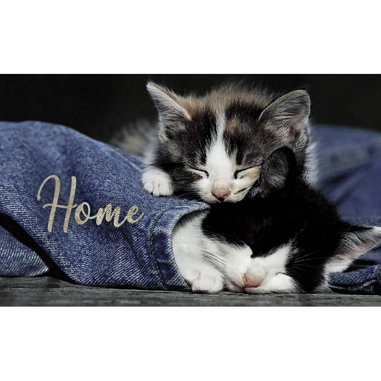 Tapis d'intérieur Home Chatons 45x75cm
