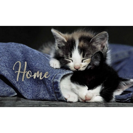 Tapis d'intérieur Home Chatons 45x75cm