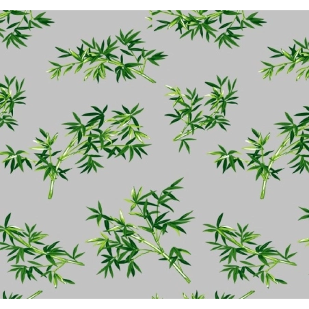 Nappe transparente BAMBOU vert - imprimé feuillage vert