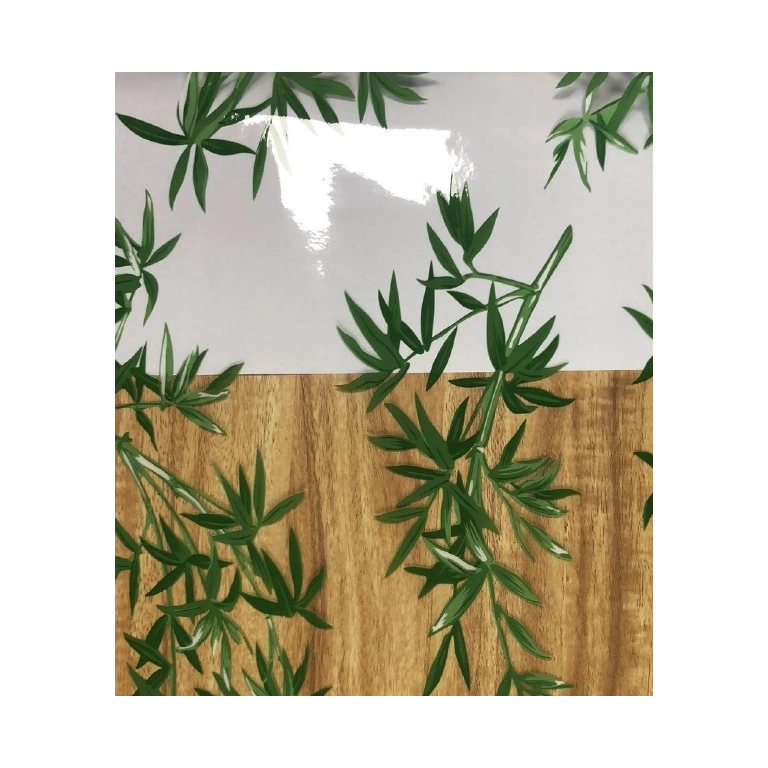 Nappe transparente BAMBOU vert - imprimé feuillage vert