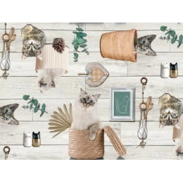 Toile cirée SOHBET gris - Nappe avec des chats