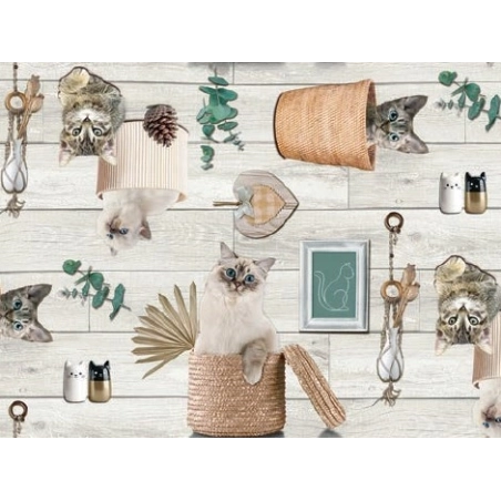 Toile cirée SOHBET gris - Nappe avec des chats