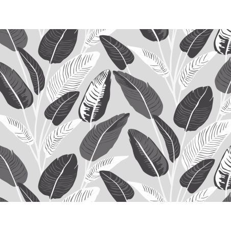 Nappe transparente WILLE noir et blanc - motif apparent