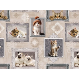 Toile cirée BERLIOZ gris - Nappe à chatons