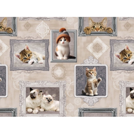 Toile cirée BERLIOZ gris - Nappe à chatons