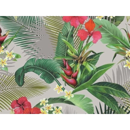 Toile cirée APATAKI Gris - largeur 140 cm