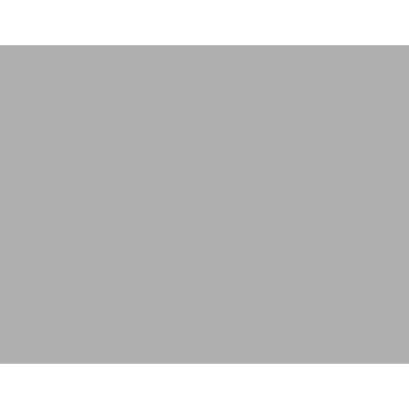 TOILE CIRÉE gris laqué